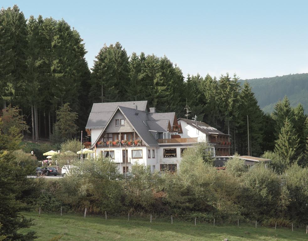 Wald Hotel Willingen ヴィリンゲン エクステリア 写真